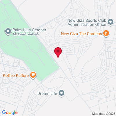 Google Maps static image